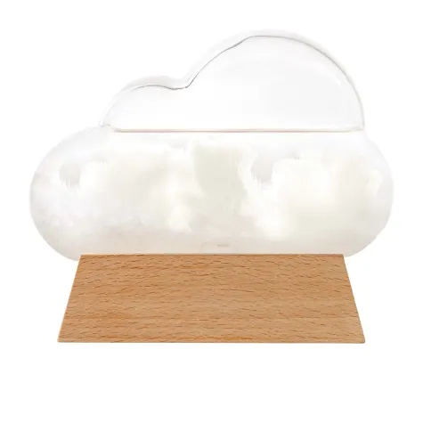 isGift Cloud Weather Station Image 3